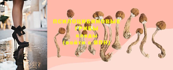 марки nbome Осинники
