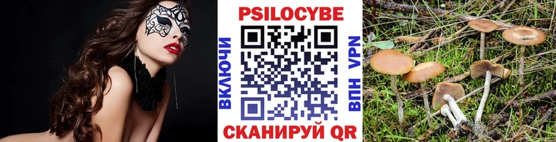 Псилоцибиновые грибы MAGIC MUSHROOMS  продажа наркотиков  Тарко-Сале 